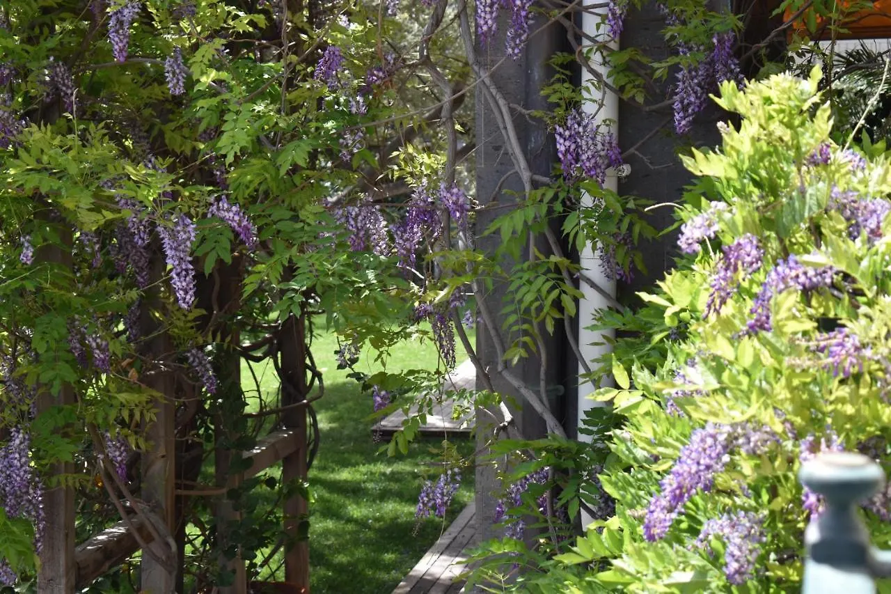 Romantica San Bartolomé Bed and breakfast