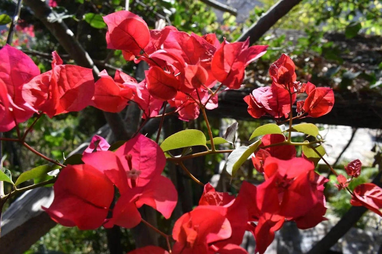 Romantica San Bartolomé Bed & Breakfast