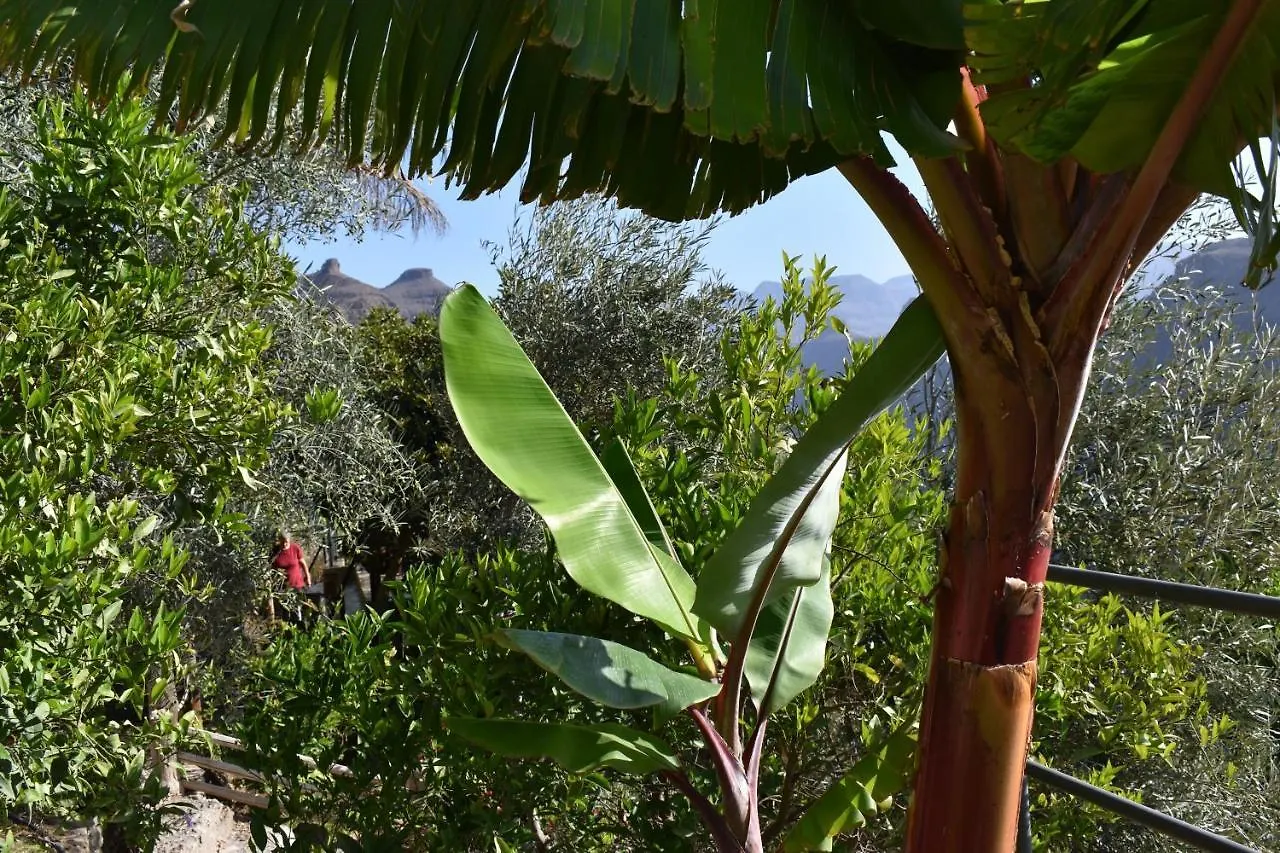 Bed & Breakfast Romantica San Bartolomé