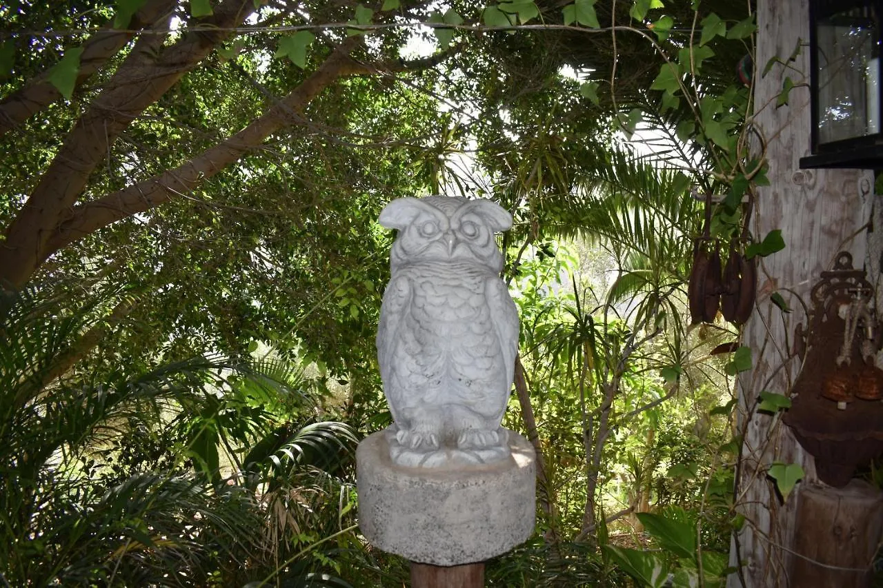 Romantica San Bartolomé Bed & Breakfast